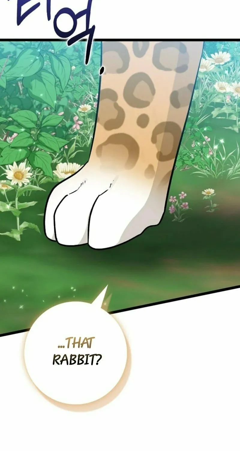 Anyone Can See It
