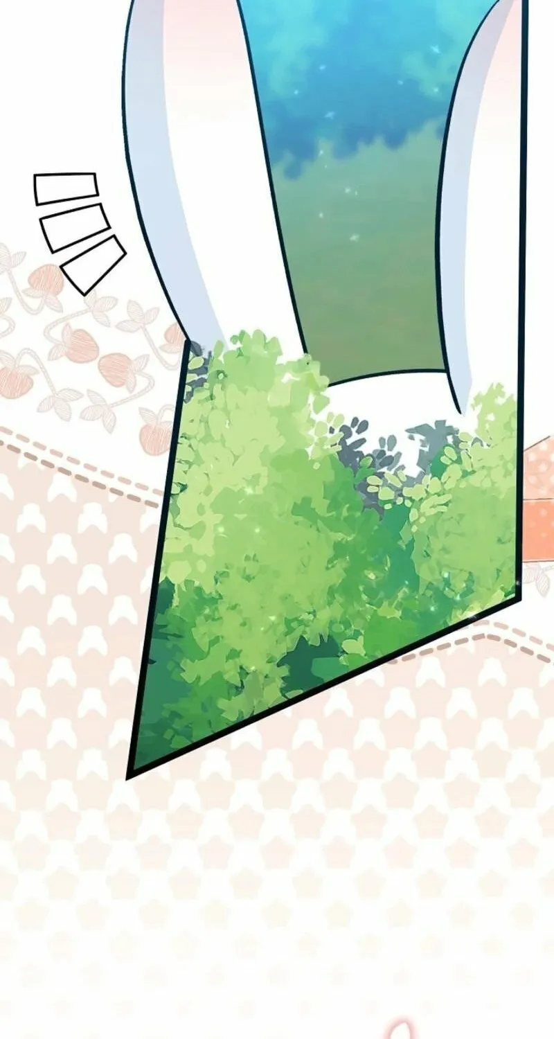 Anyone Can See It