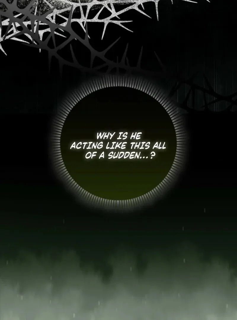 Anyone Can See It