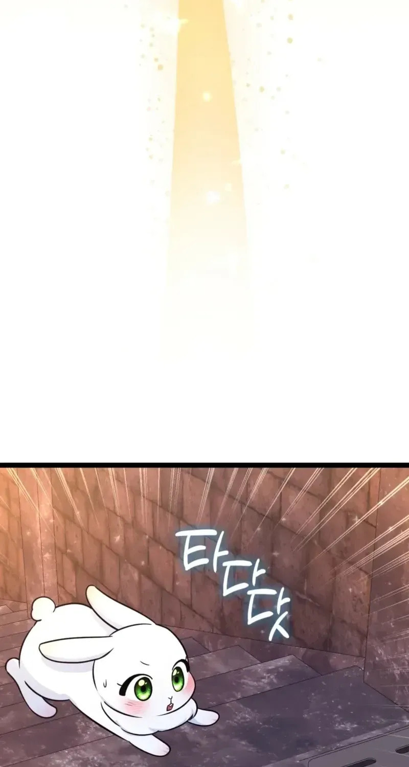 Anyone Can See It