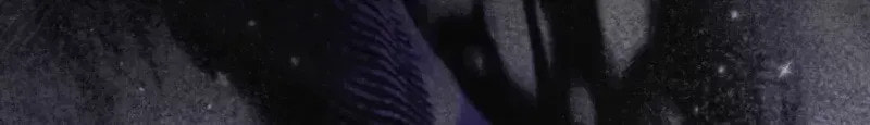 Anyone Can See It