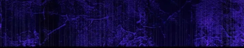 Anyone Can See It