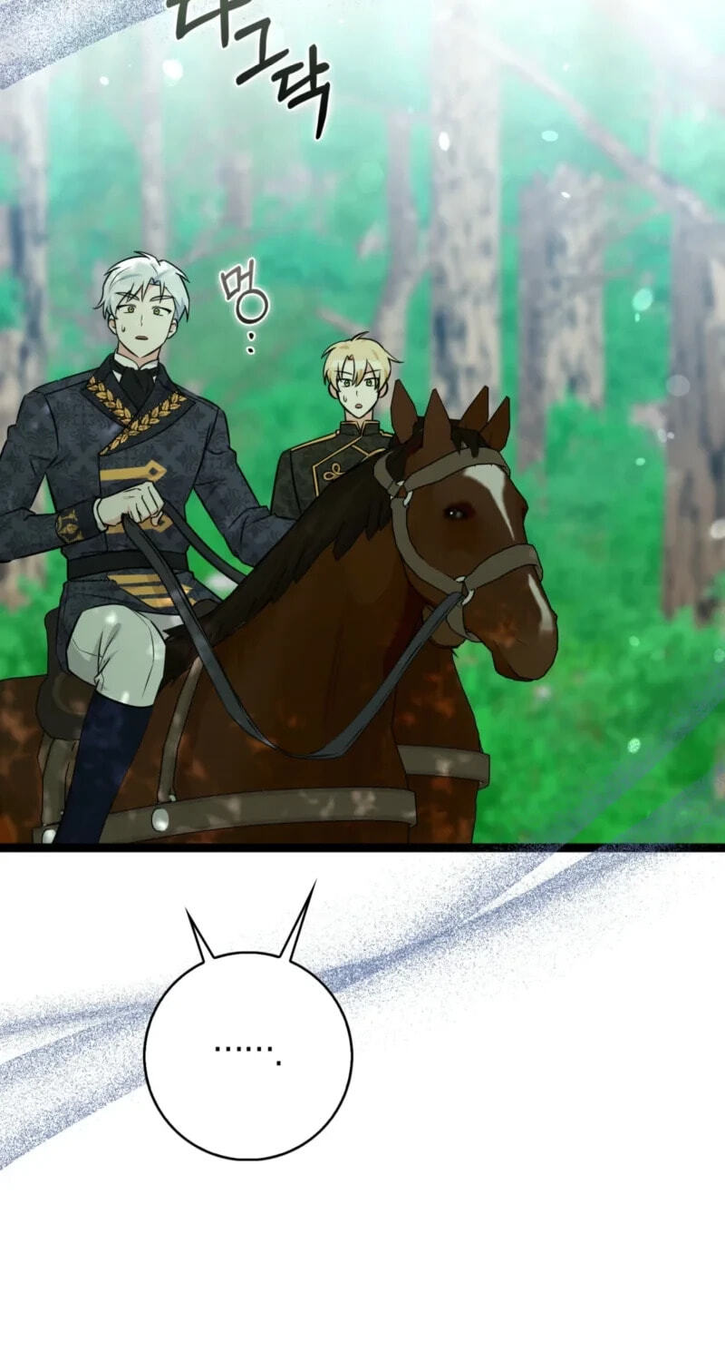 Anyone Can See It