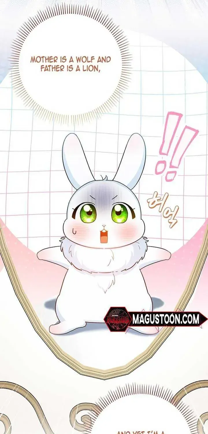 Anyone Can See It’s A Beast Chapter 1.1 page 13 - 