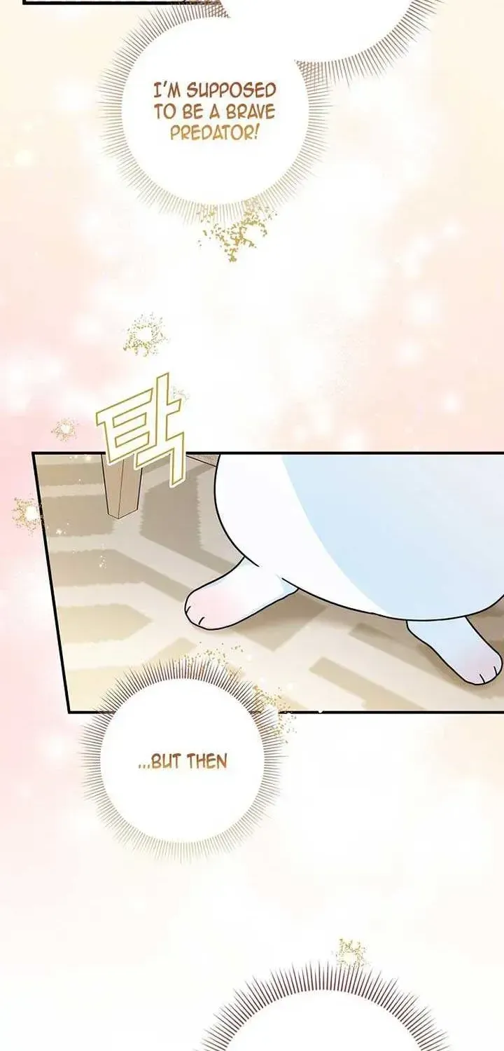 Anyone Can See It’s A Beast Chapter 1.1 page 84 - 