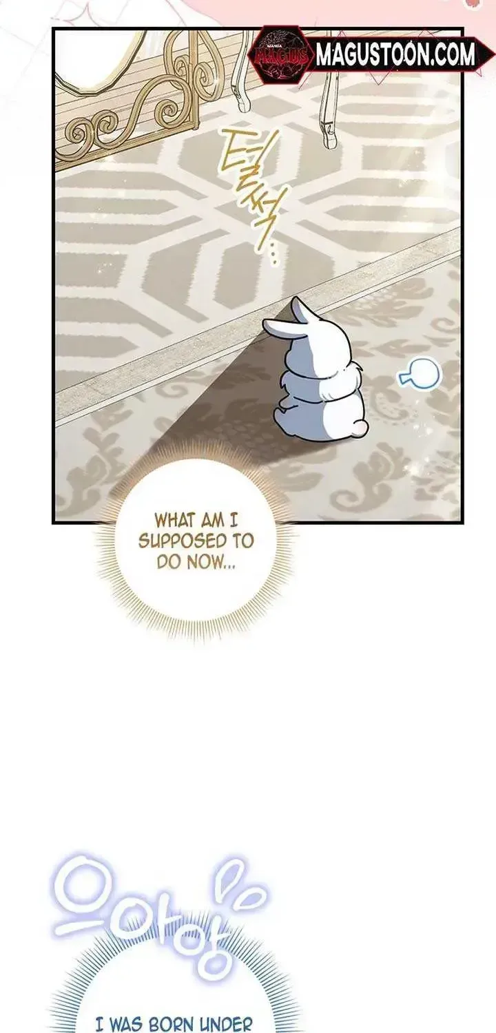 Anyone Can See It’s A Beast Chapter 1.2 page 16 - 