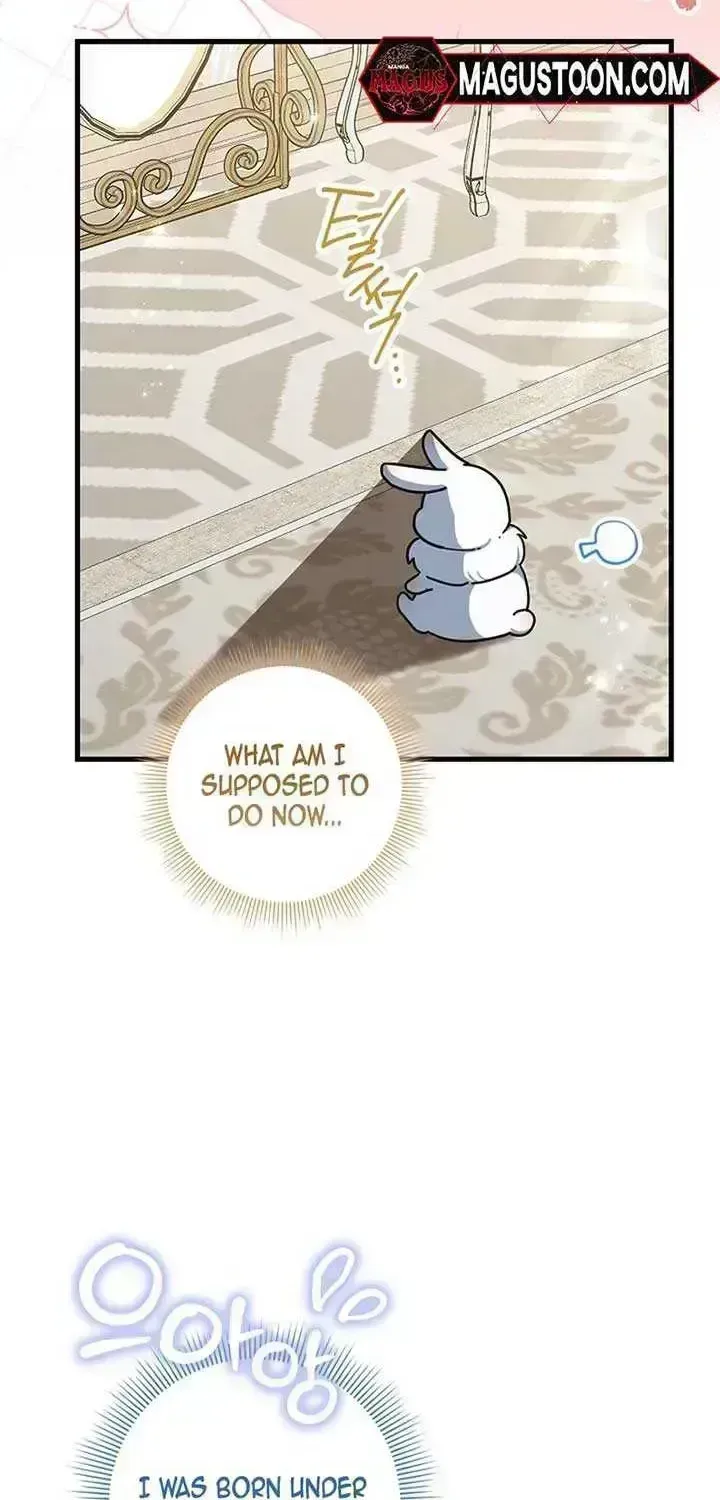 Anyone Can See It’s A Beast Chapter 1.5 page 16 - 