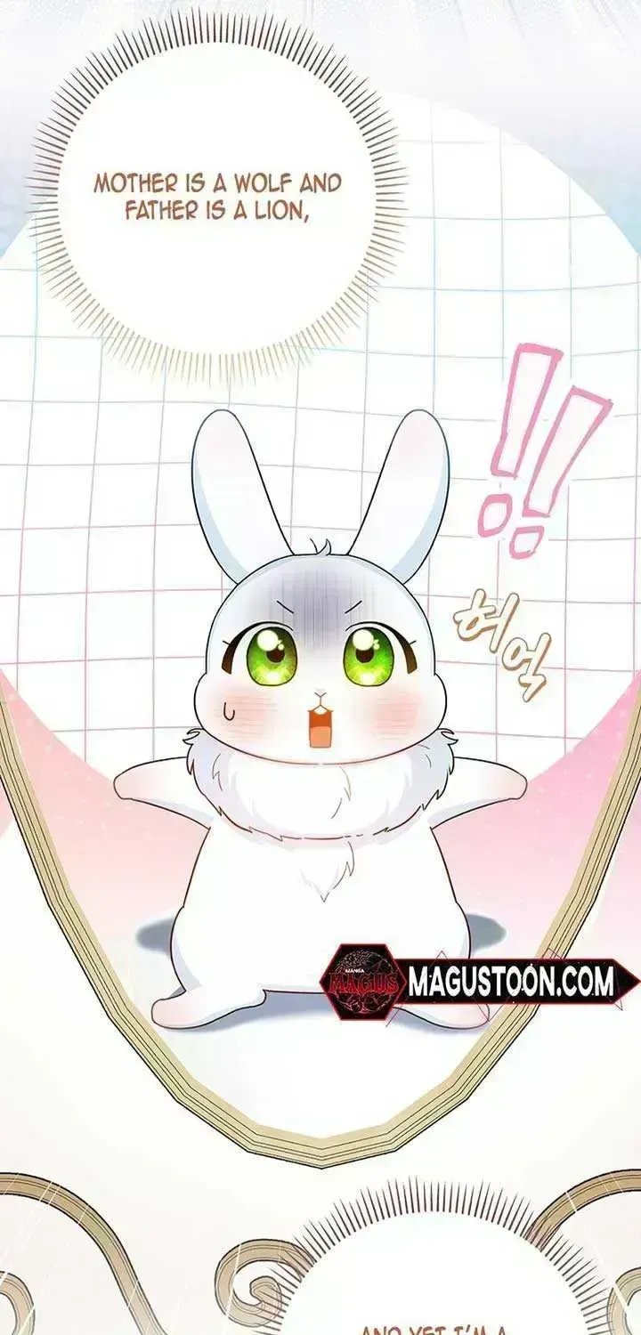 Anyone Can See It’s A Beast Chapter 1.6 page 13 - 
