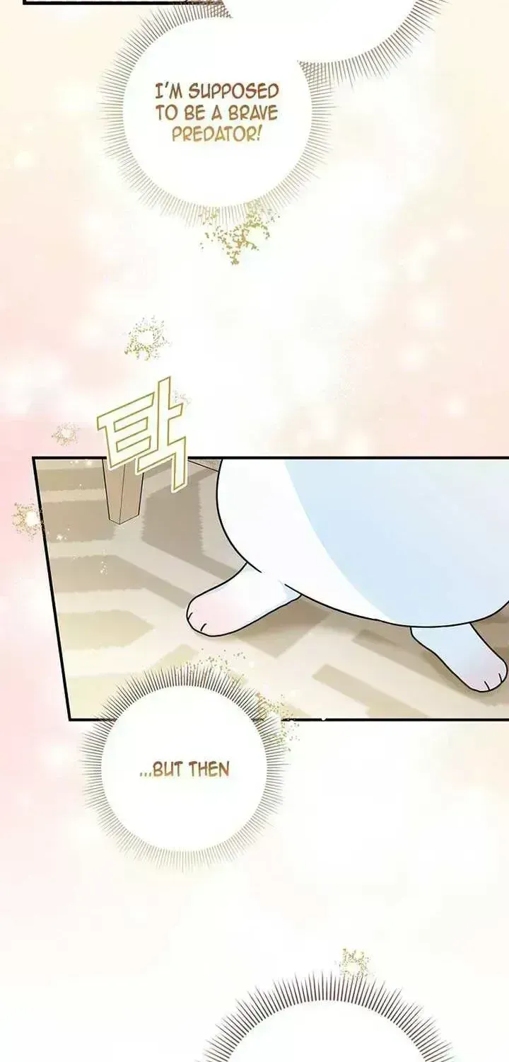 Anyone Can See It’s A Beast Chapter 1.7 page 84 - 