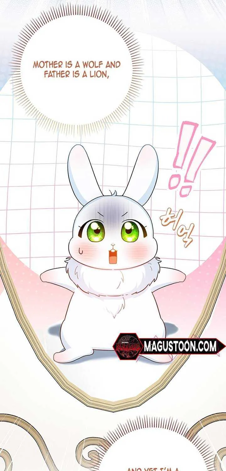Anyone Can See It’s A Beast Chapter 1 page 14 - 