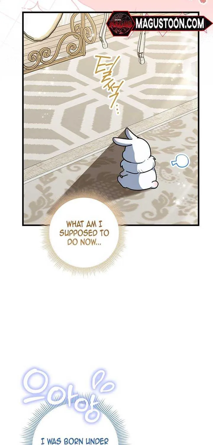 Anyone Can See It’s A Beast Chapter 1 page 17 - 