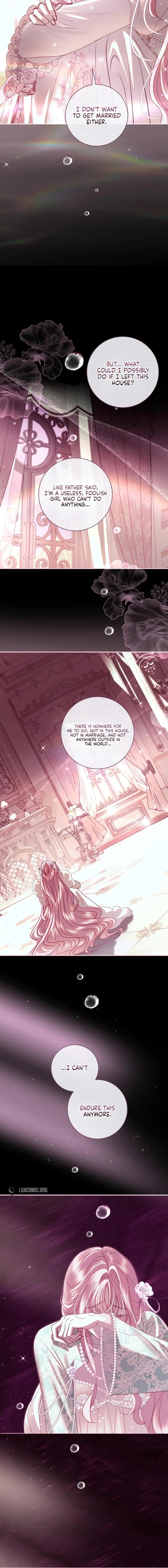 Anything But Marriage, Mr. Villain Chapter 68 page 12 - 