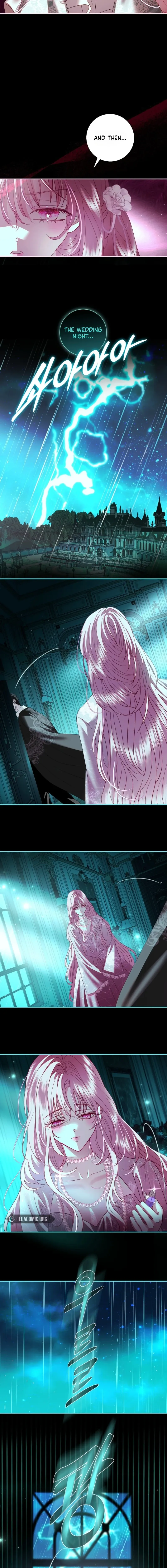 Anything But Marriage, Mr. Villain Chapter 69 page 3 - 