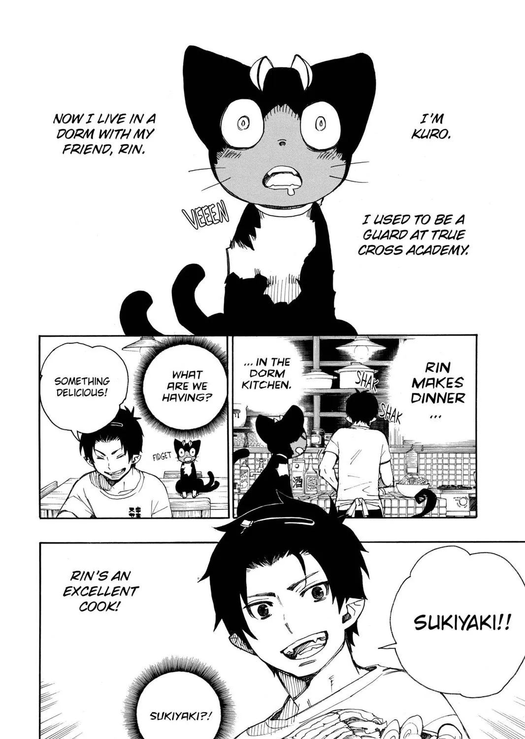 Ao No Exorcist Chapter 23.6 page 3 - 