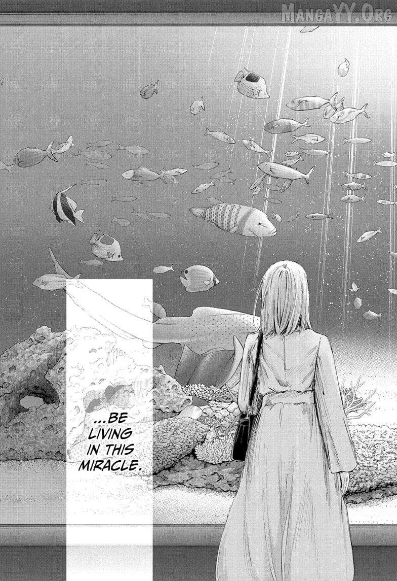 Ao no Hako Chapter 235 page 13 - 