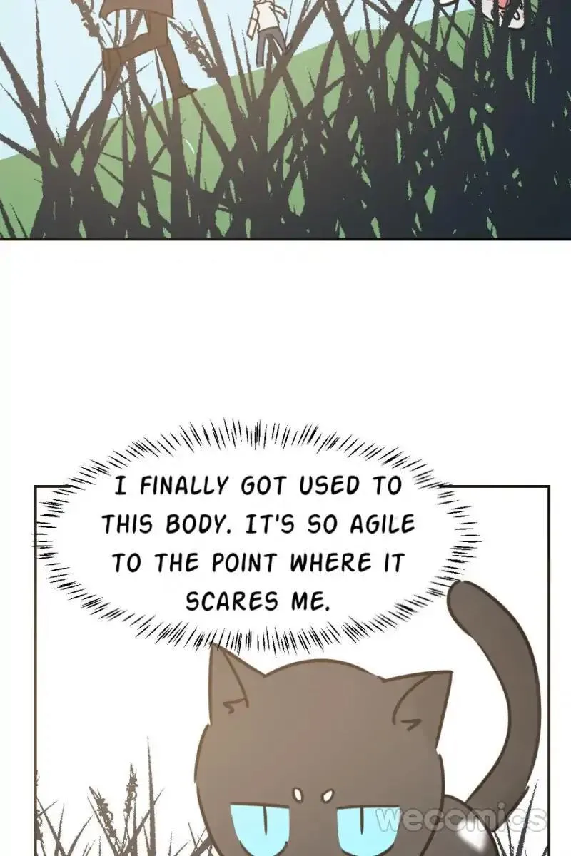 AoAo Waiting to Be Eaten Chapter 25 page 37 - 