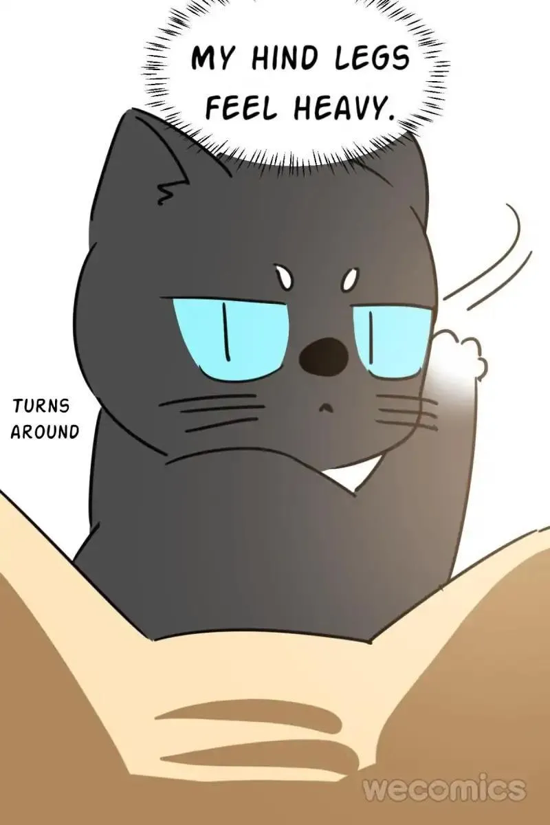 AoAo Waiting to Be Eaten Chapter 25 page 43 - 