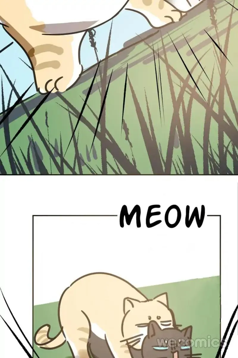 AoAo Waiting to Be Eaten Chapter 25 page 46 - 