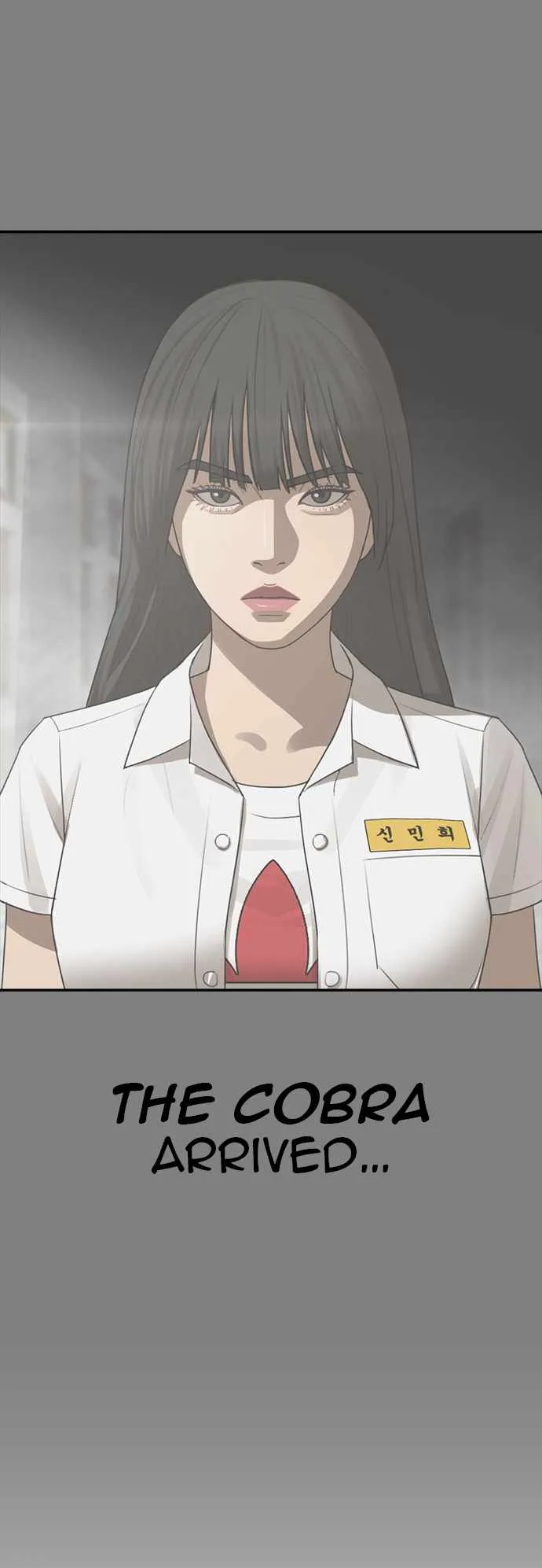 Appearance Generation Chapter 20 page 13 - 