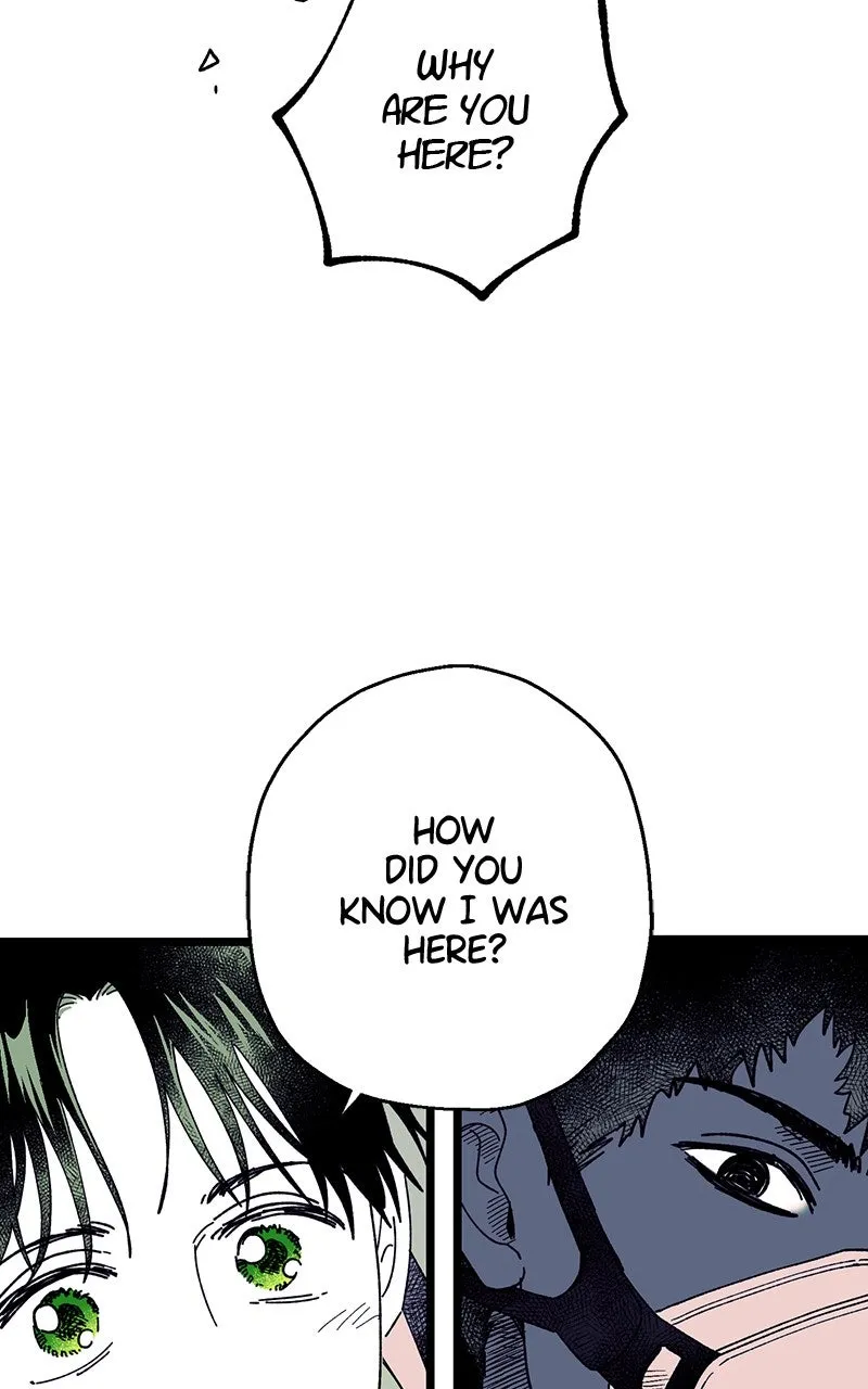 Ark of the Law Chapter 15 page 37 - 