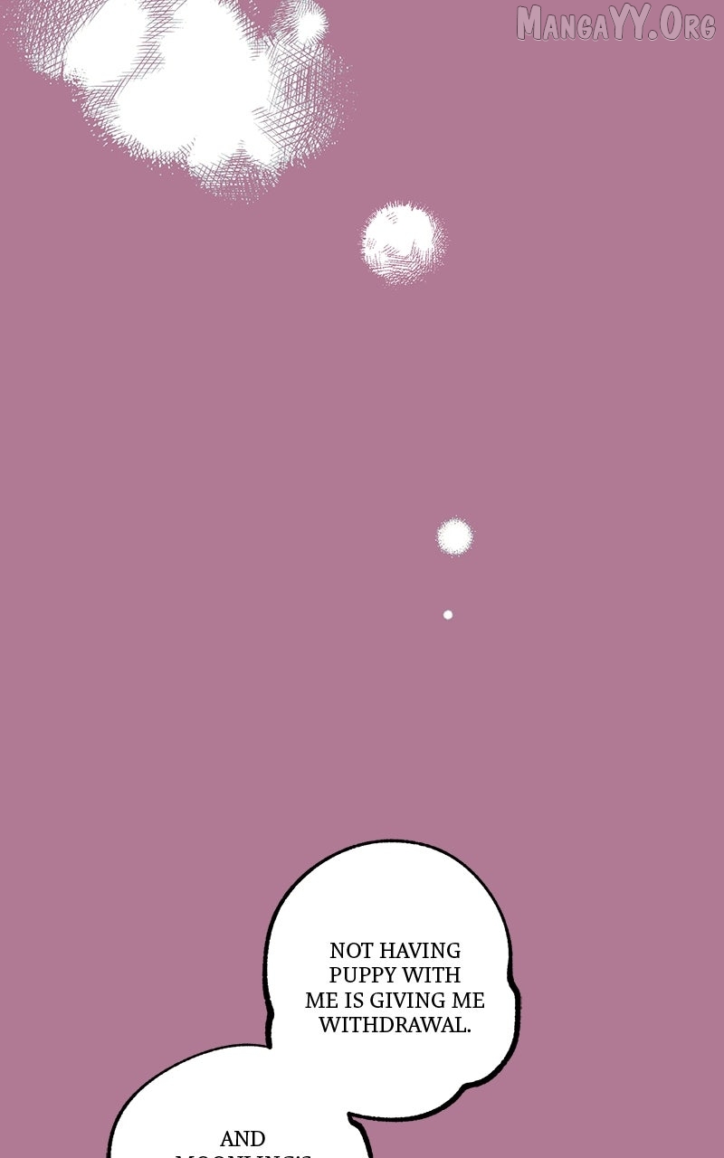 Ark of the Law Chapter 61 page 24 - 