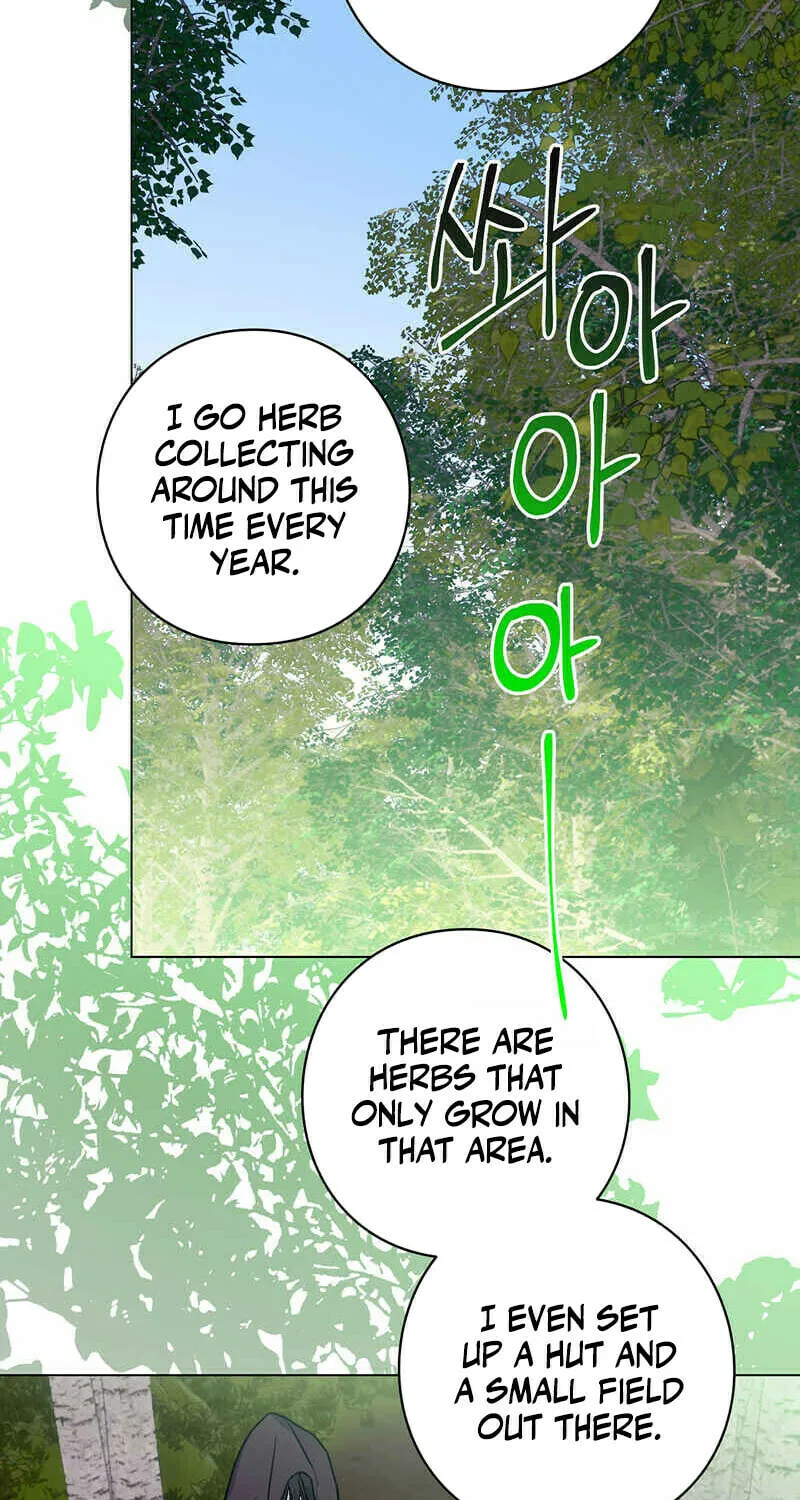 Aromatic Love Chapter 1 page 31 - 