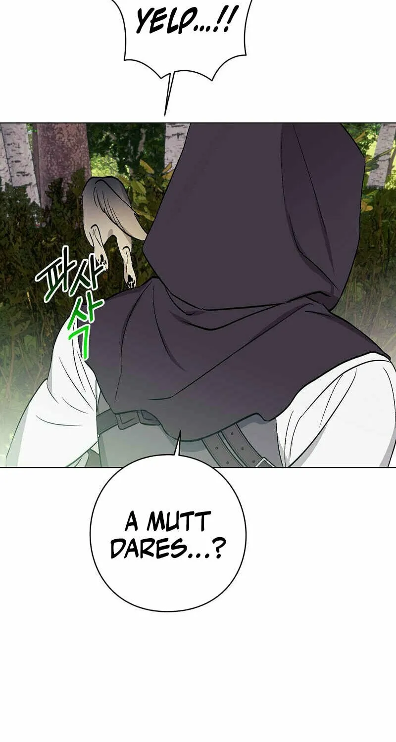 Aromatic Love Chapter 1 page 49 - 