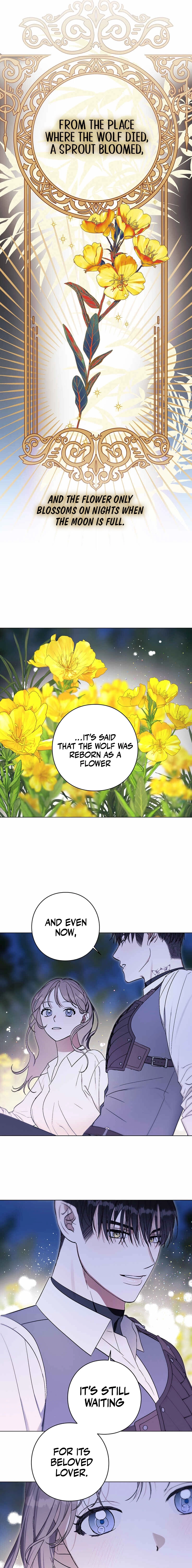 Aromatic Love Chapter 11 page 3 - 