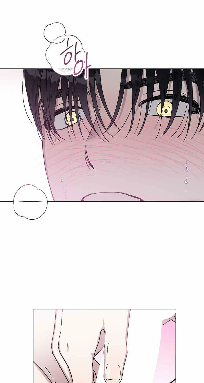 Aromatic Love Chapter 2 page 49 - 