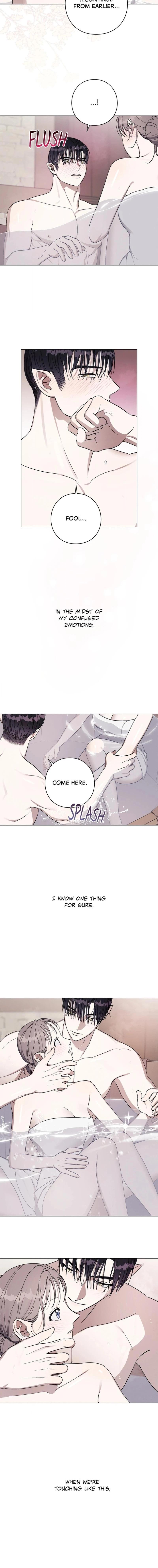 Aromatic Love Chapter 28 page 4 - 