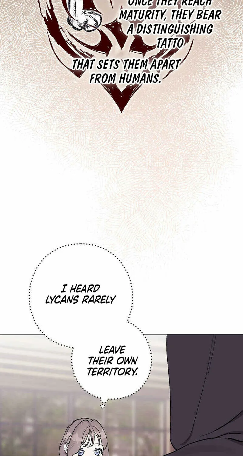 Aromatic Love Chapter 3 page 17 - 