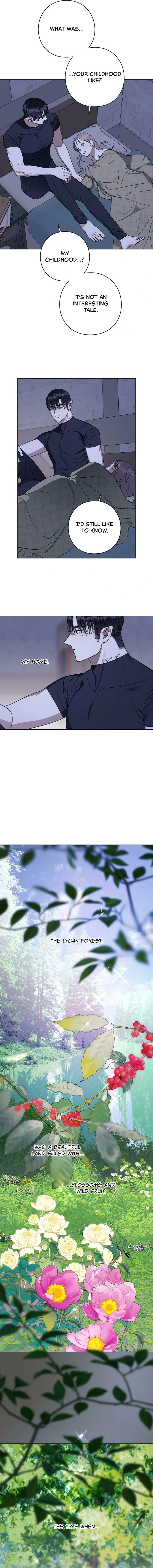 Aromatic Love Chapter 30 page 7 - 