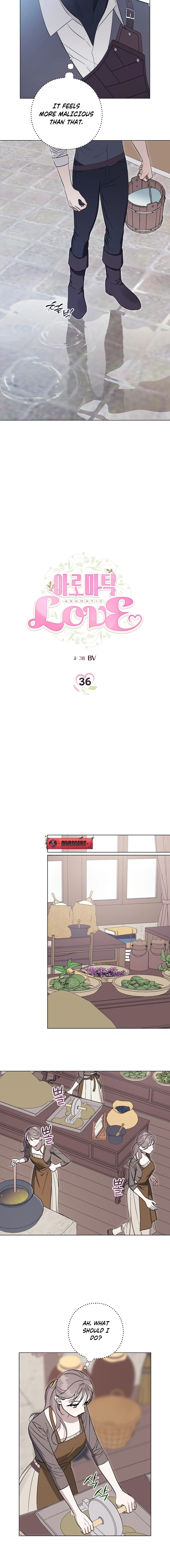 Aromatic Love Chapter 36 page 2 - 