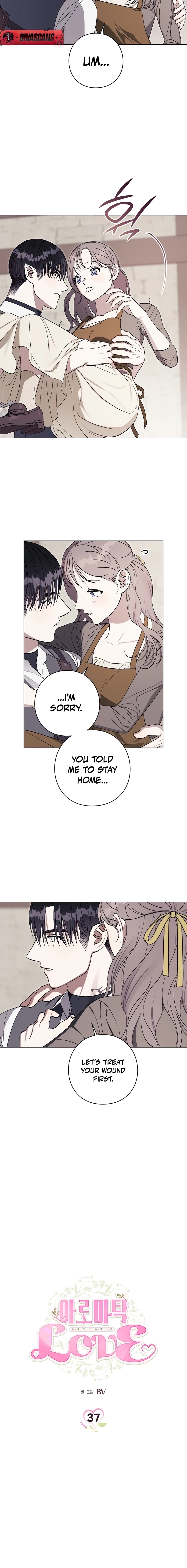 Aromatic Love Chapter 37 page 2 - 