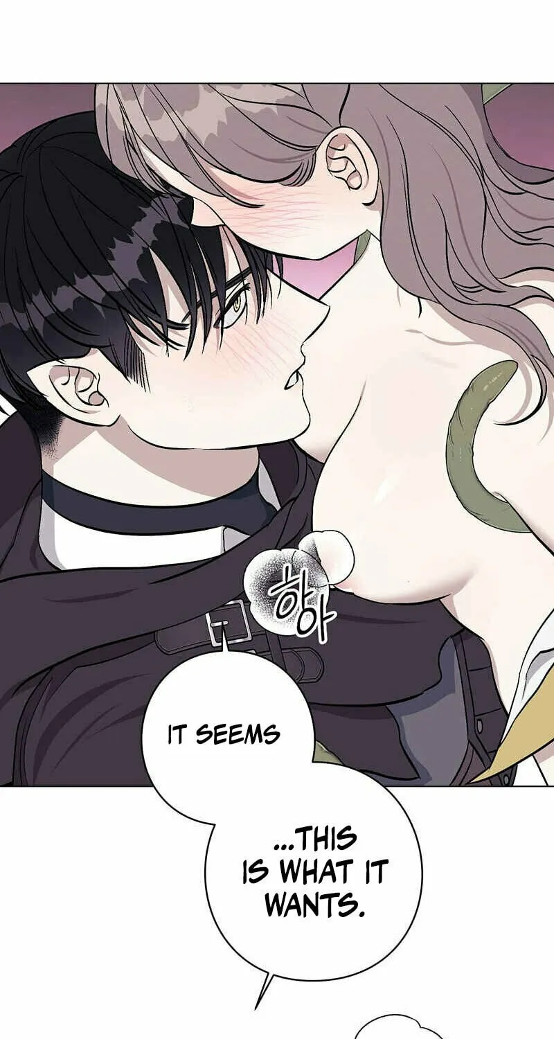 Aromatic Love Chapter 4 page 41 - 