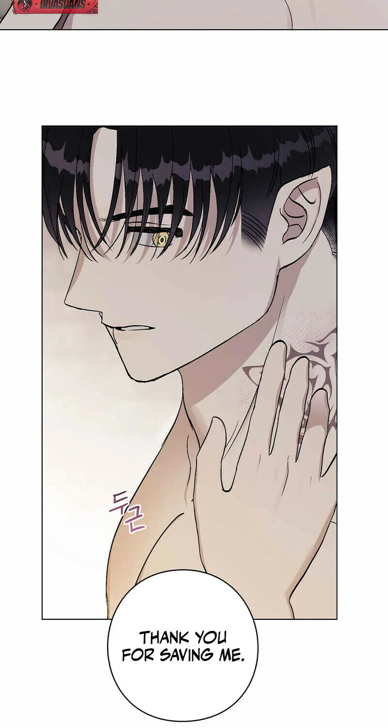 Aromatic Love Chapter 5 page 43 - 