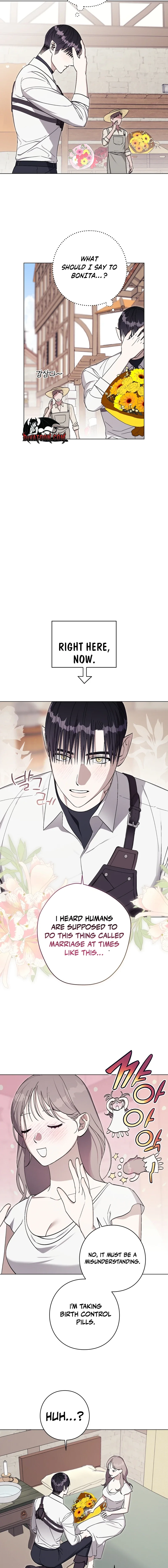 Aromatic Love Chapter 50 page 11 - 