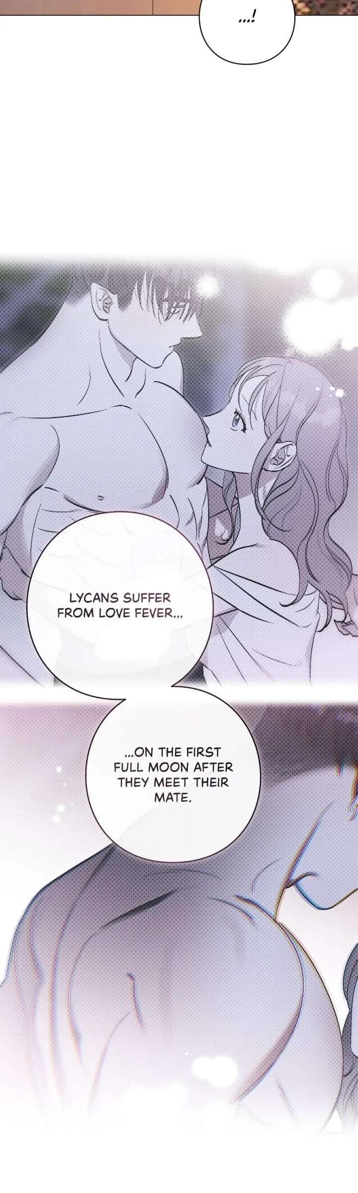 Aromatic Love Chapter 51 page 13 - 