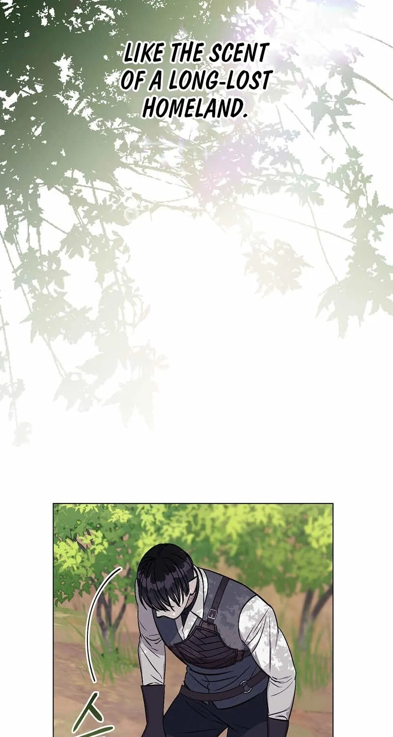 Aromatic Love Chapter 7 page 36 - 