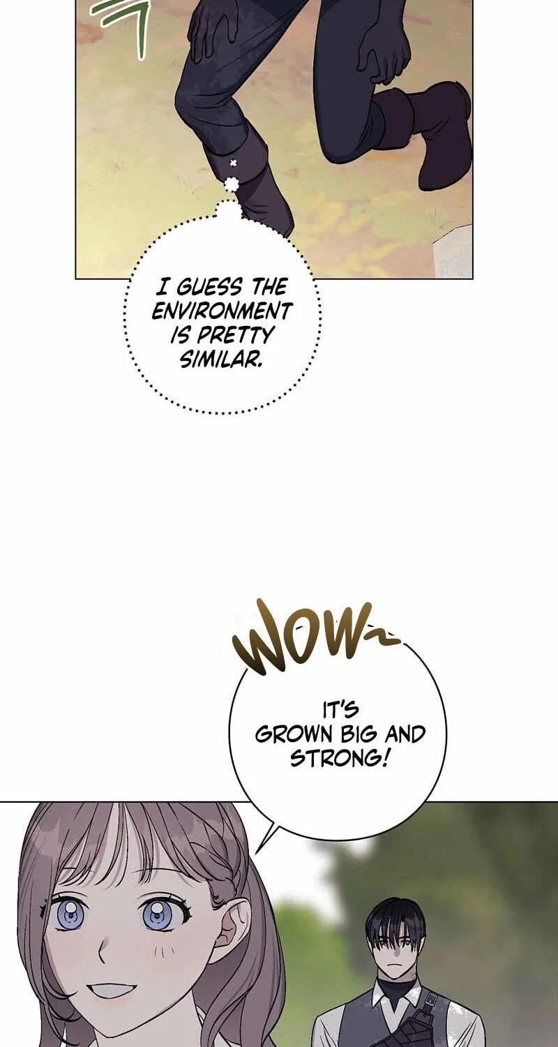 Aromatic Love Chapter 7 page 37 - 