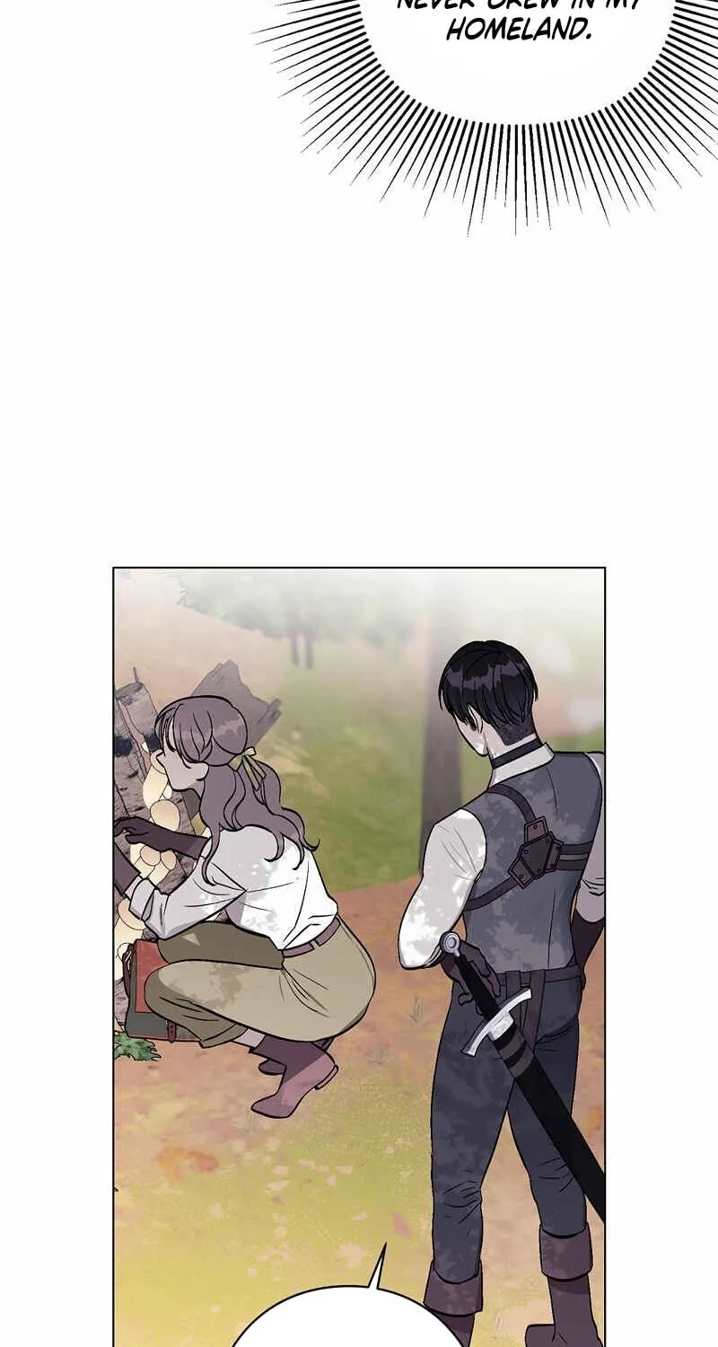 Aromatic Love Chapter 7 page 41 - 