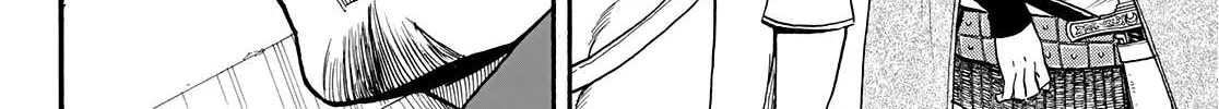Arslan Senki (Arakawa Hiromu) Chapter 85 page 29 - 