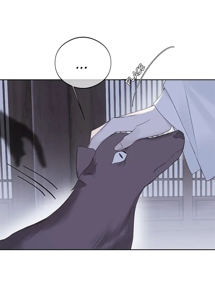 As If See the Snow Comes Chapter 12 page 25 - 