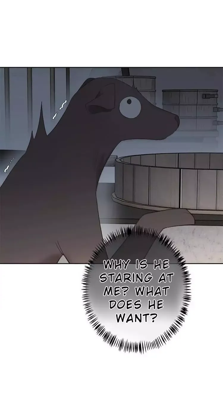 As If See the Snow Comes Chapter 4 page 9 - 
