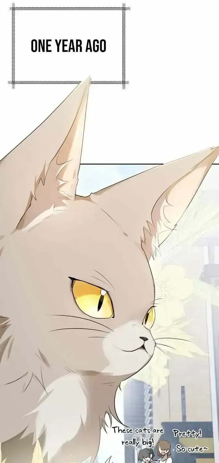 As of Today, I Have Become the Butler of Five Men Chapter 1.3 page 25 - 