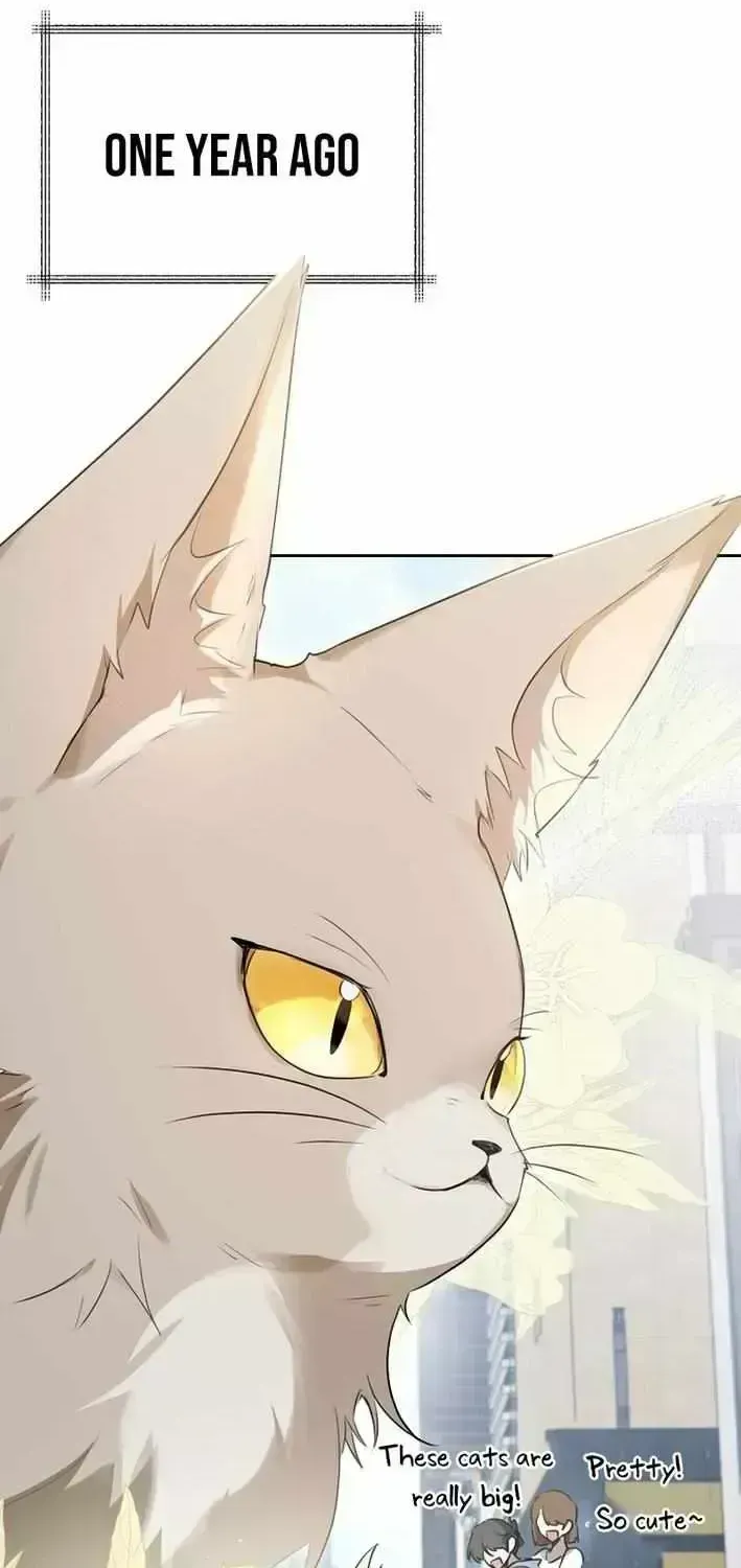 As of Today, I Have Become the Butler of Five Men Chapter 1.4 page 25 - 