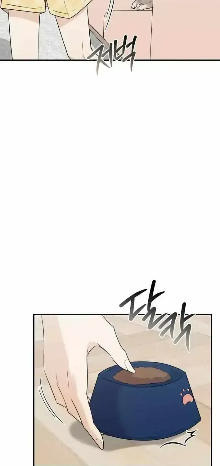 As of Today, I Have Become the Butler of Five Men Chapter 1.5 page 88 - 