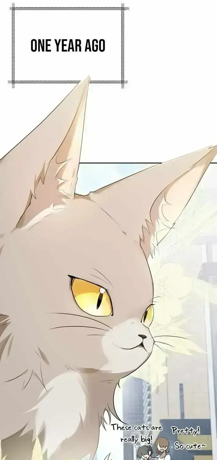 As of Today, I Have Become the Butler of Five Men Chapter 1.6 page 25 - 