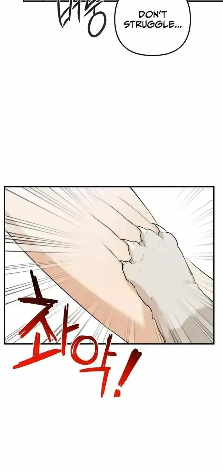 As of Today, I Have Become the Butler of Five Men Chapter 1.6 page 81 - 