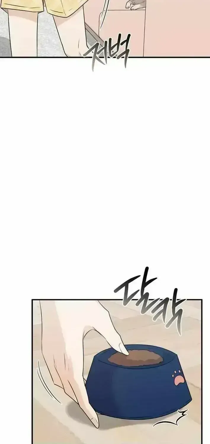 As of Today, I Have Become the Butler of Five Men Chapter 1.7 page 88 - 